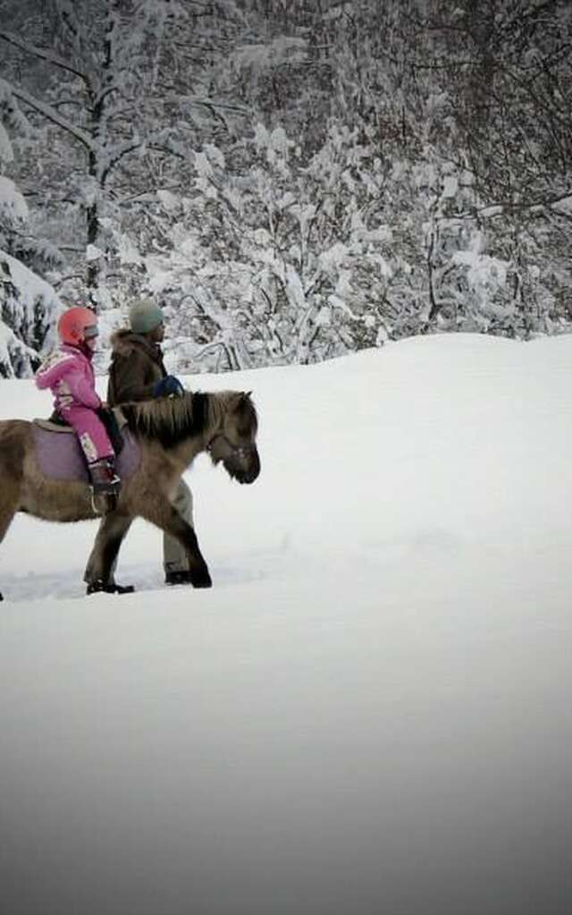 Promenade en main avec un poney