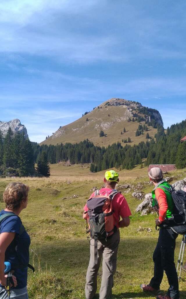 Randonnée pédestre avec Lézard des Bois