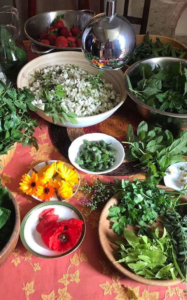 Les Aventurières du Goût - Découverte des fleurs et plantes sauvages gourmandes