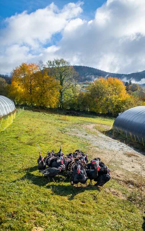 Ferme de Loutas