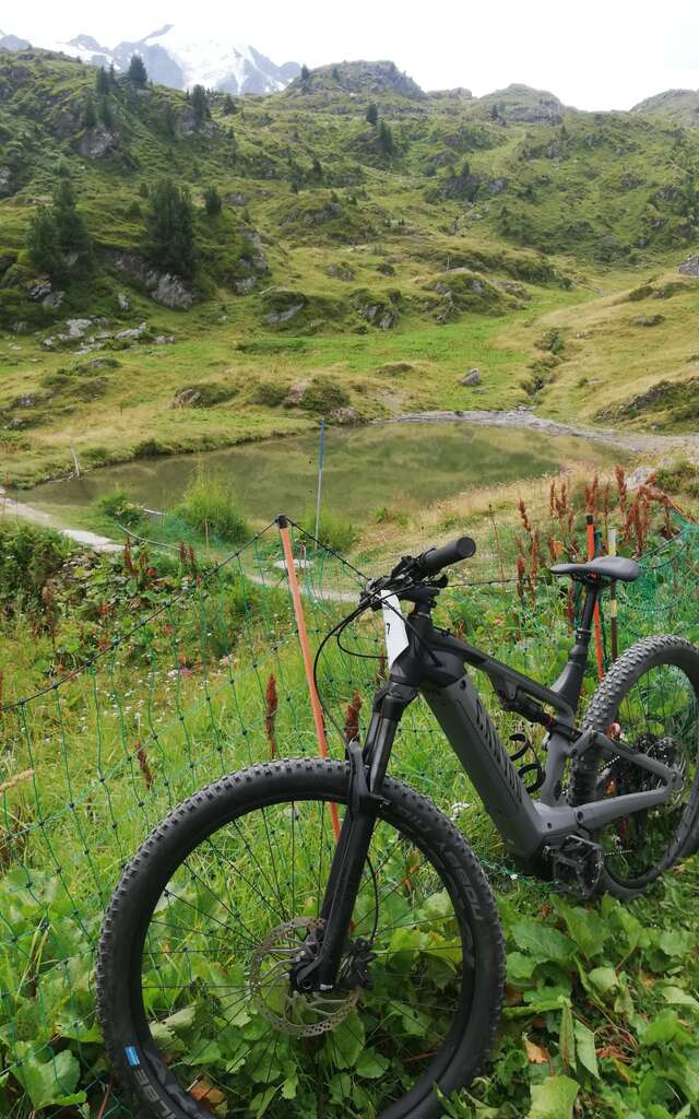 VTT gourmand