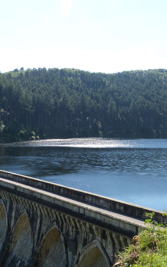 Randonnée et œnotourisme