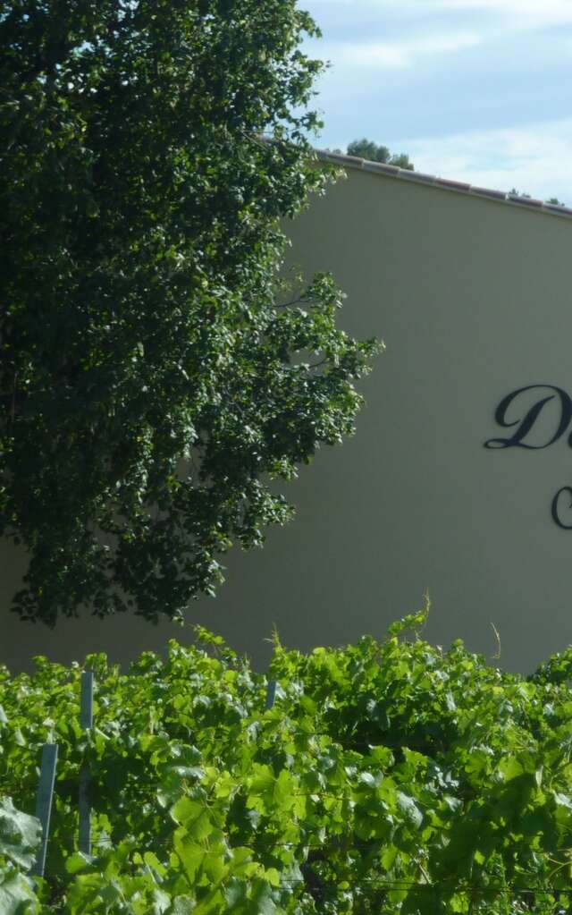 Domaine Saint Apollinaire