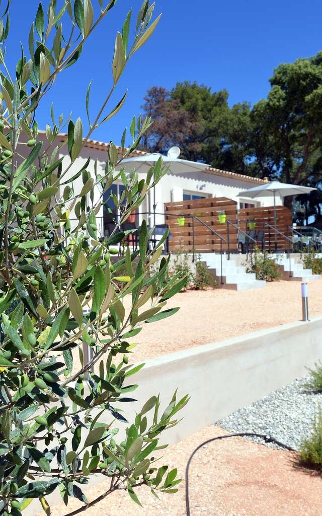 Gites Sous Les Pins - Brown - 45 m² - 4 pers