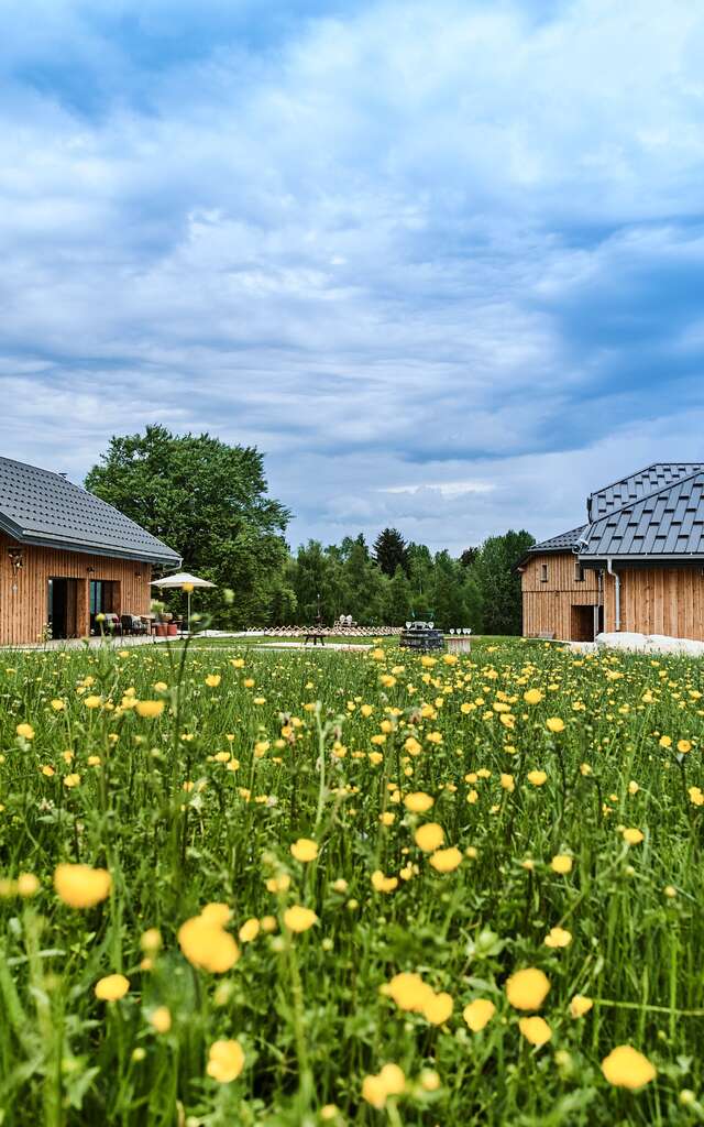 Les Gîtes des 3 Sapins
