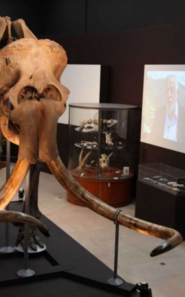 A la découverte de la Préhistoire au Musée d'Anthropologie Préhistorique - Monaco