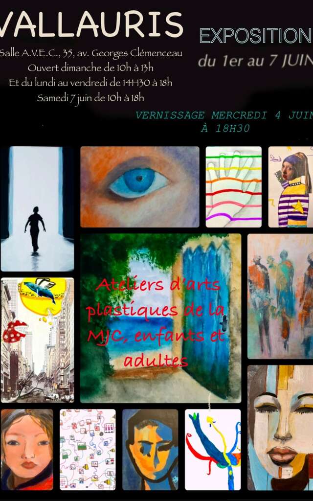 Exposition MJC Vallauris