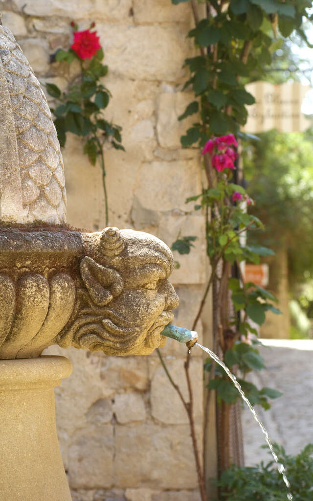 Provence van Anouchka