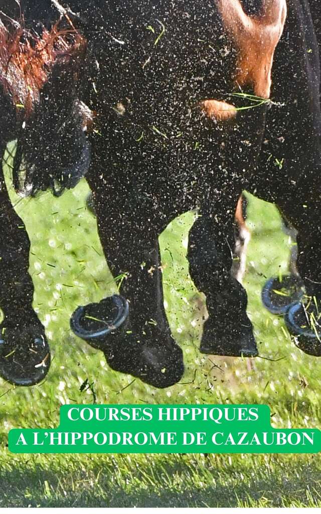 Courses Hippiques à l'hippodrome de Cazaubon