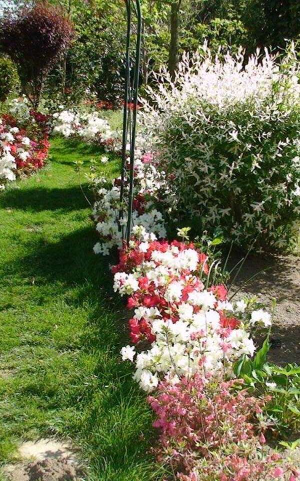 Parc Floral Les Camellias de la Prairie