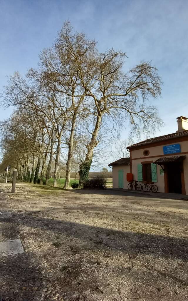 La Maison Eclusière des coccinelles