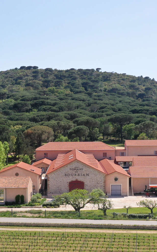 Domaine viticole du Bourrian
