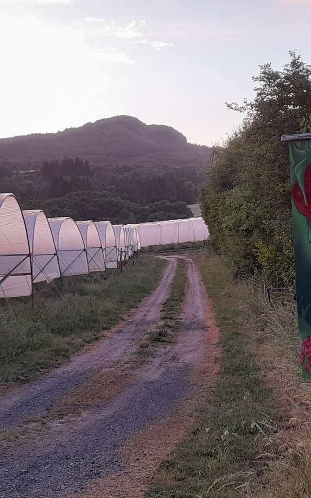 Gaec les baies du Lizieux