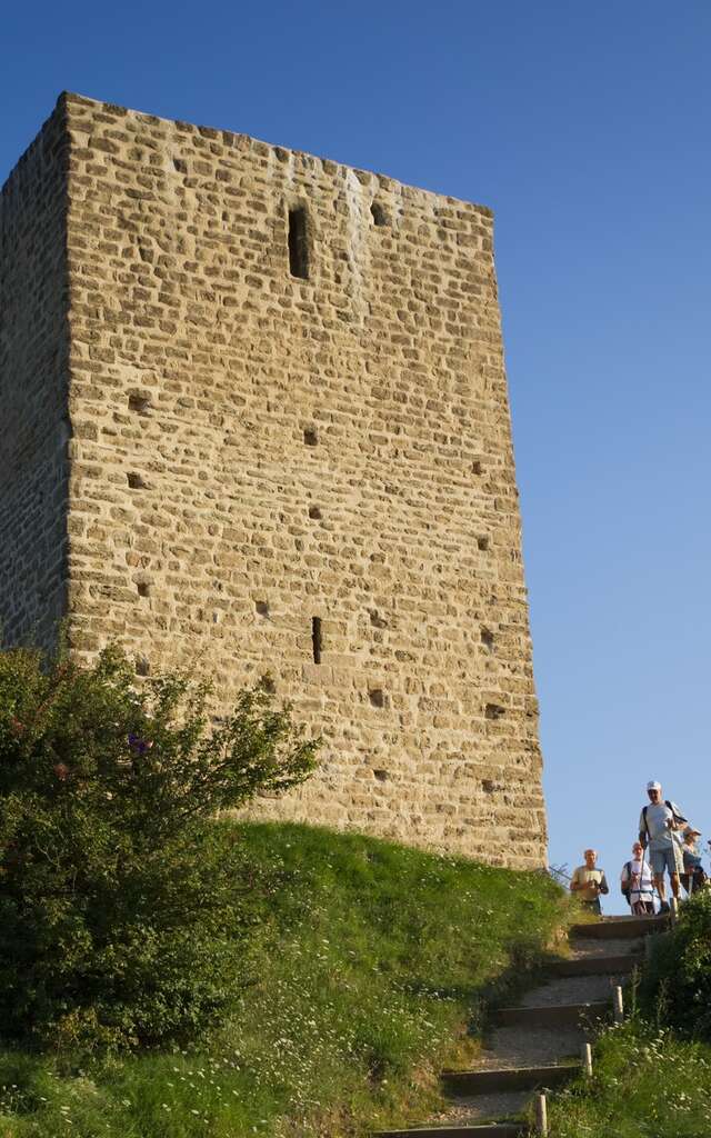 Tour d'Albon