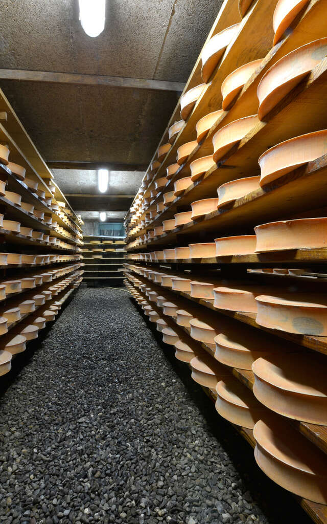 GAEC du Mont Chauffé