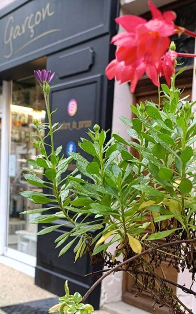 La Couture du Garçon