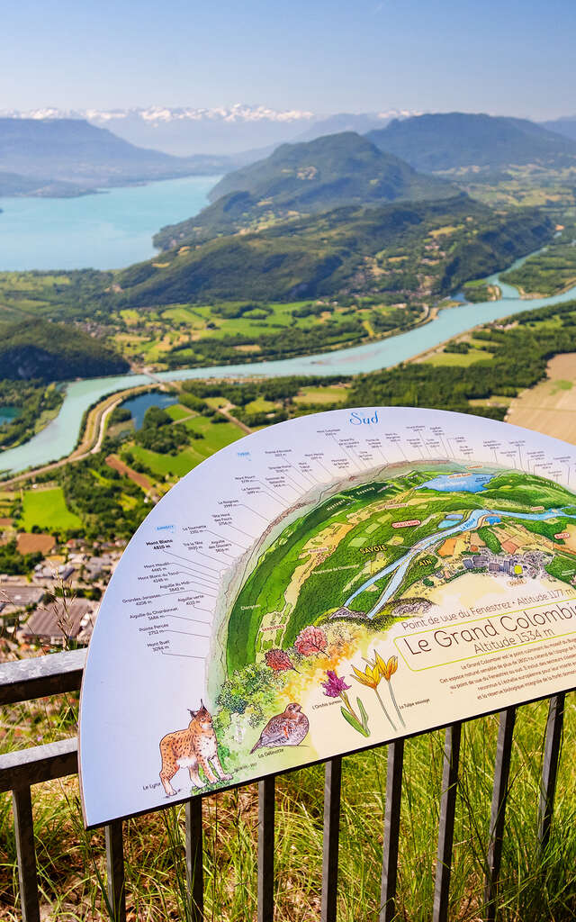 Randonnée pédestre : Le Grand Colombier depuis Culoz