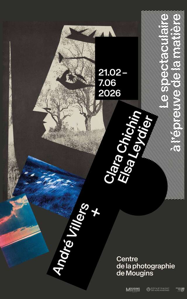 Kwame Brathwaite - Black is Beautiful