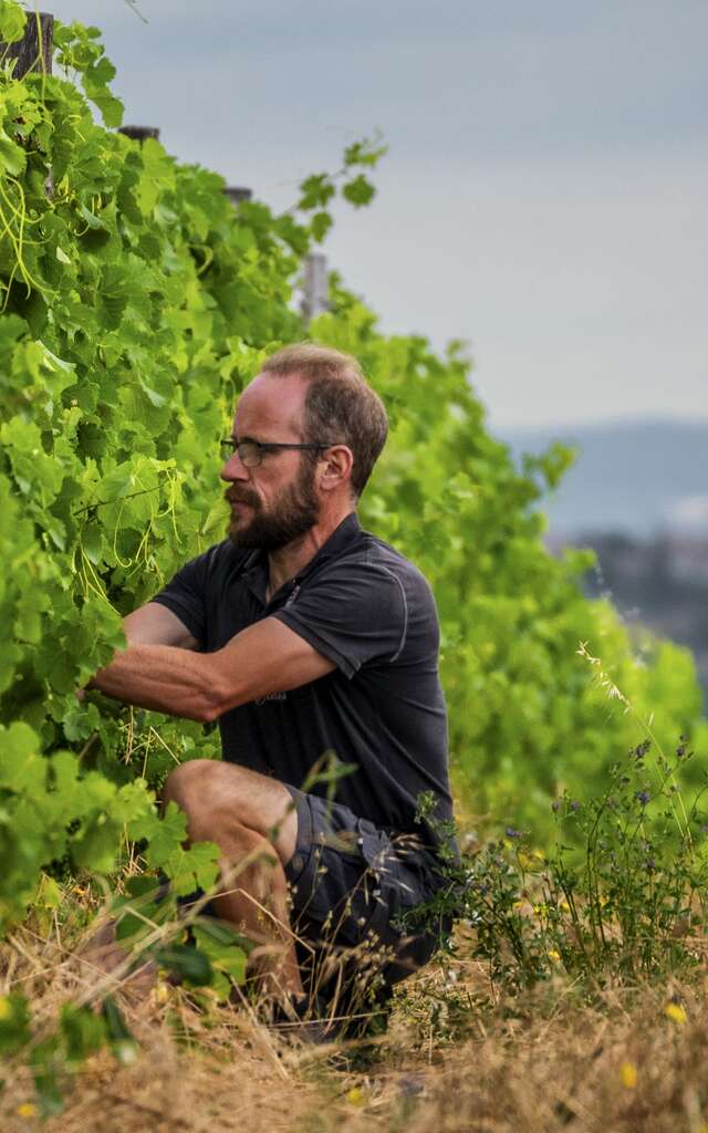 Le domaine des Bardes