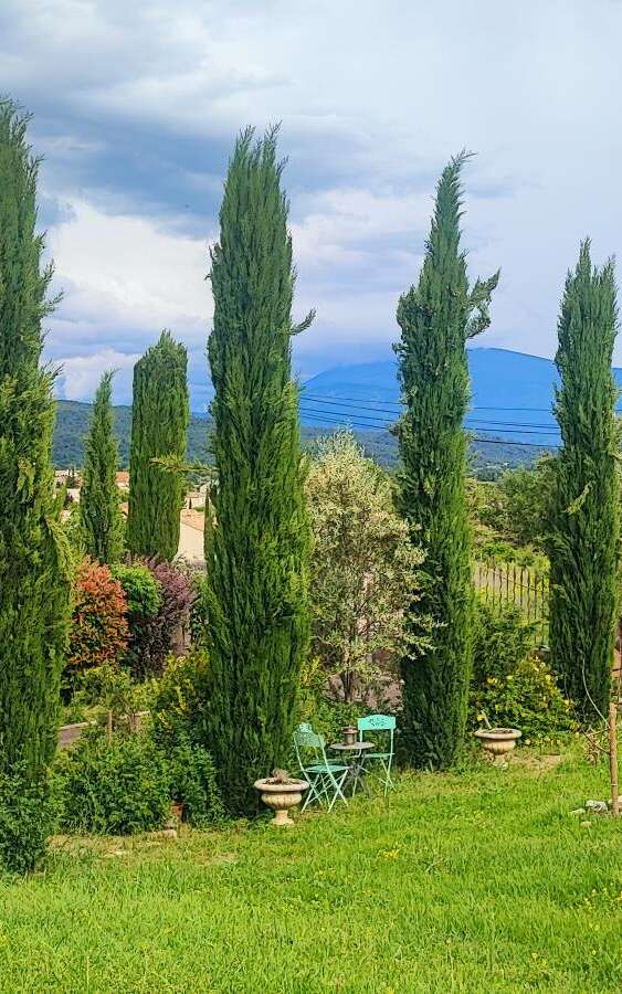 Le Mont Ventoux à l'horizon  - Chambre avec vue