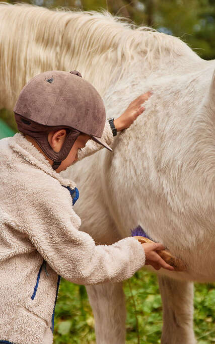 Monde du cheval