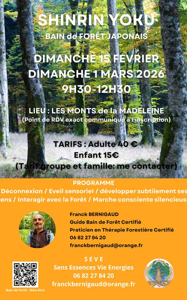"Shinrin Yoku" bain de forêt Japonais