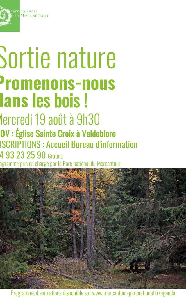 Let's go for a walk in the woods!