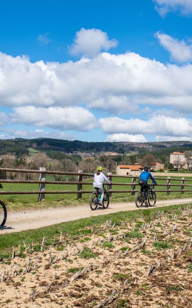 Location de VTT et VTTAE - REVE BIKE
