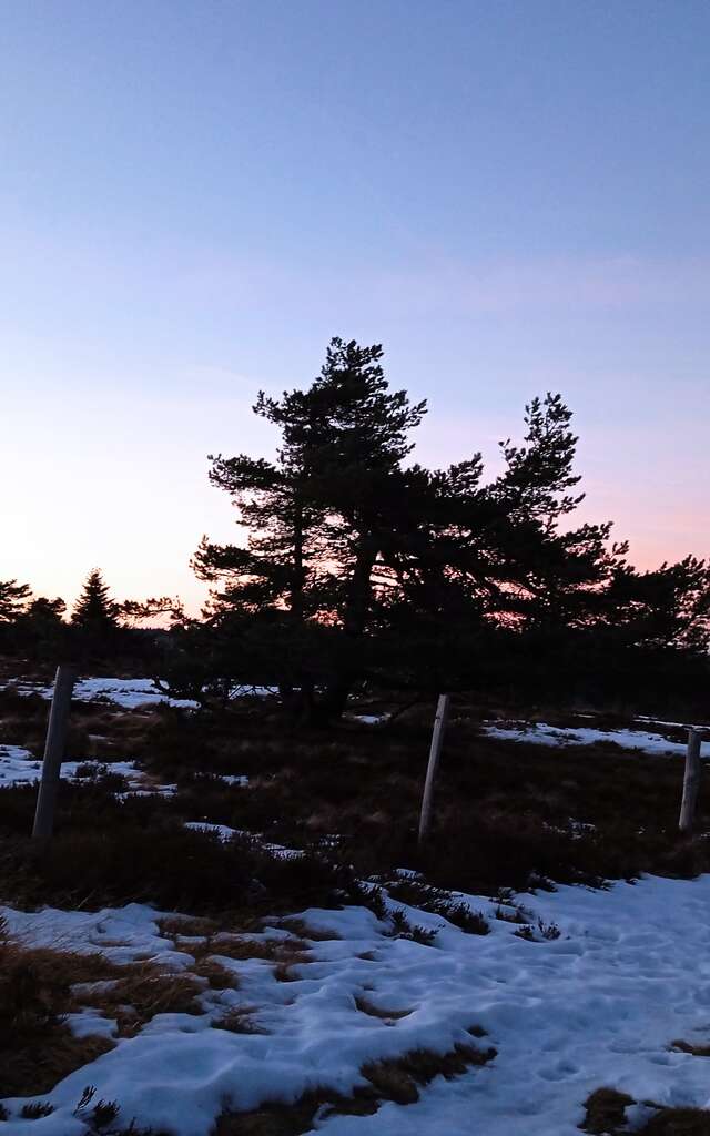 Réveillon sous les étoiles