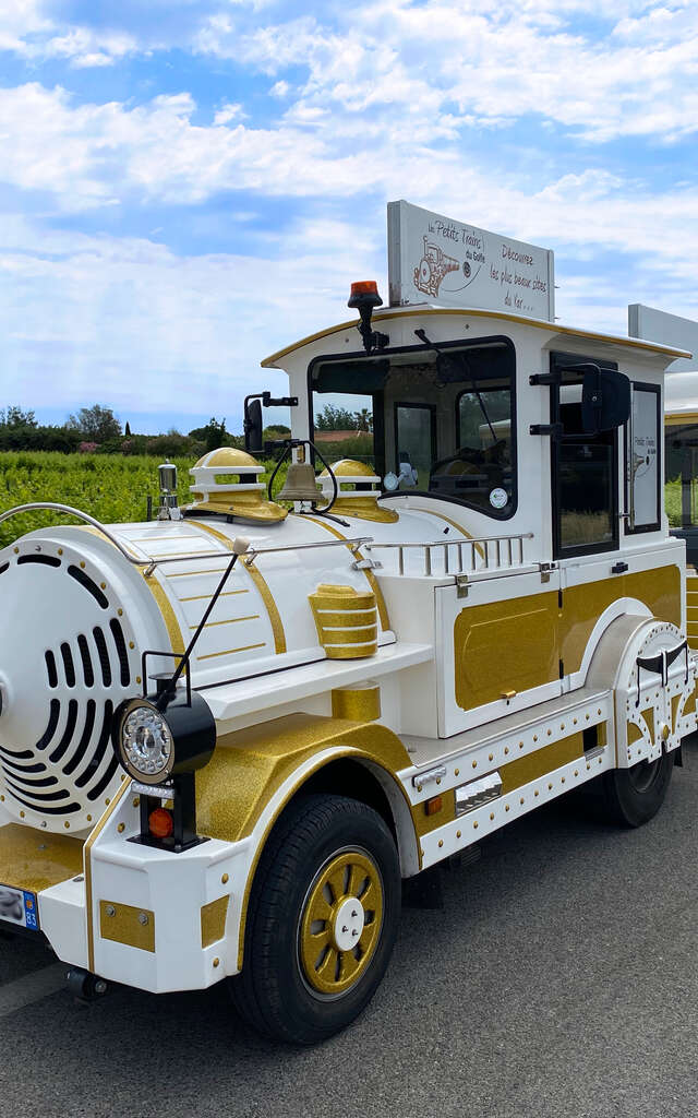 Circuit découverte de La Londe les Maures en Petit Train