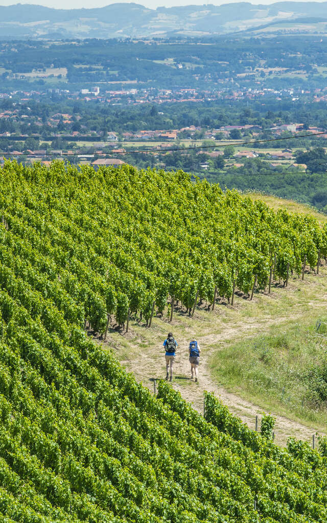 De gare en gare - Entre Sancti Martini et Chemin de Saint-Jacques au cœur des vignobles de la Loire Volcanique - 4J/3N