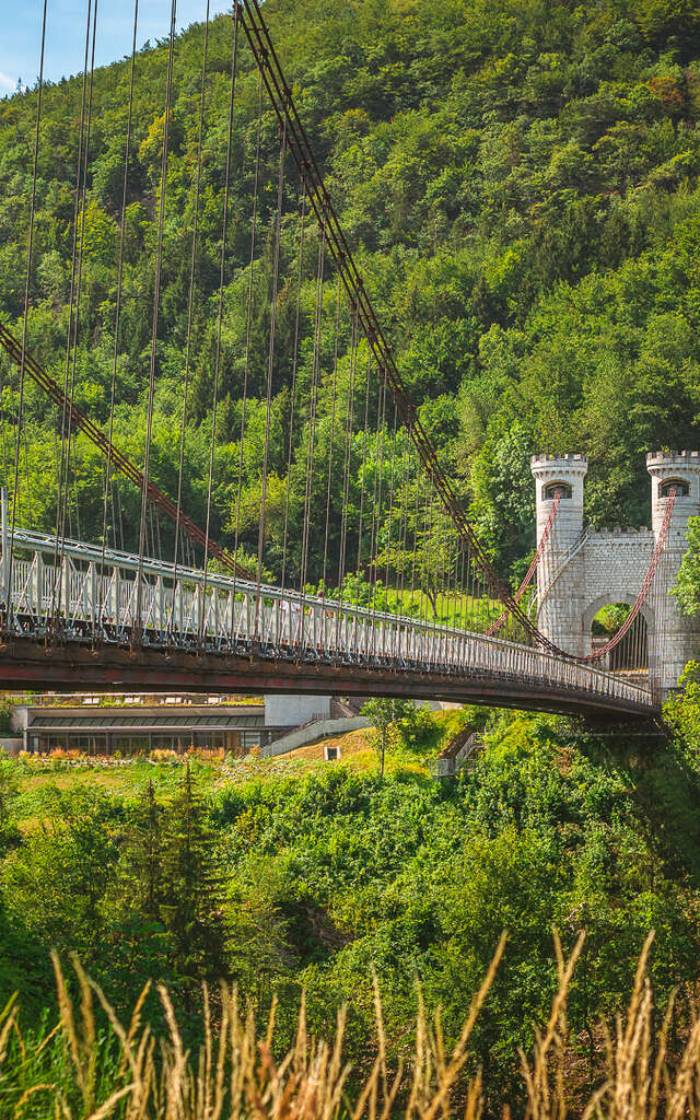 Le Pont de la Caille - Charles Albert