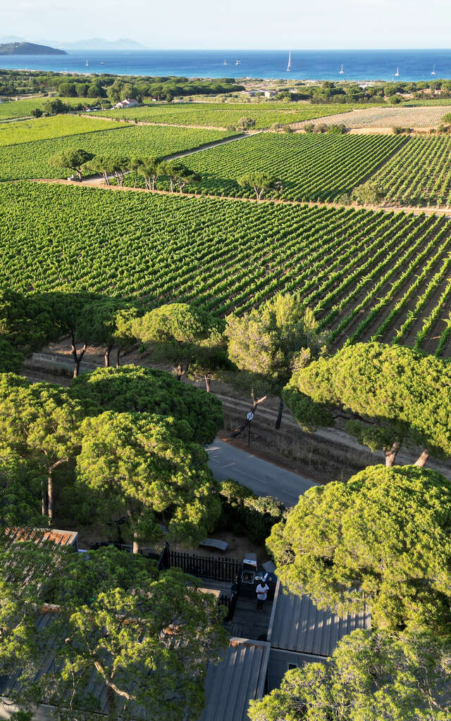 Domaine des Tournels