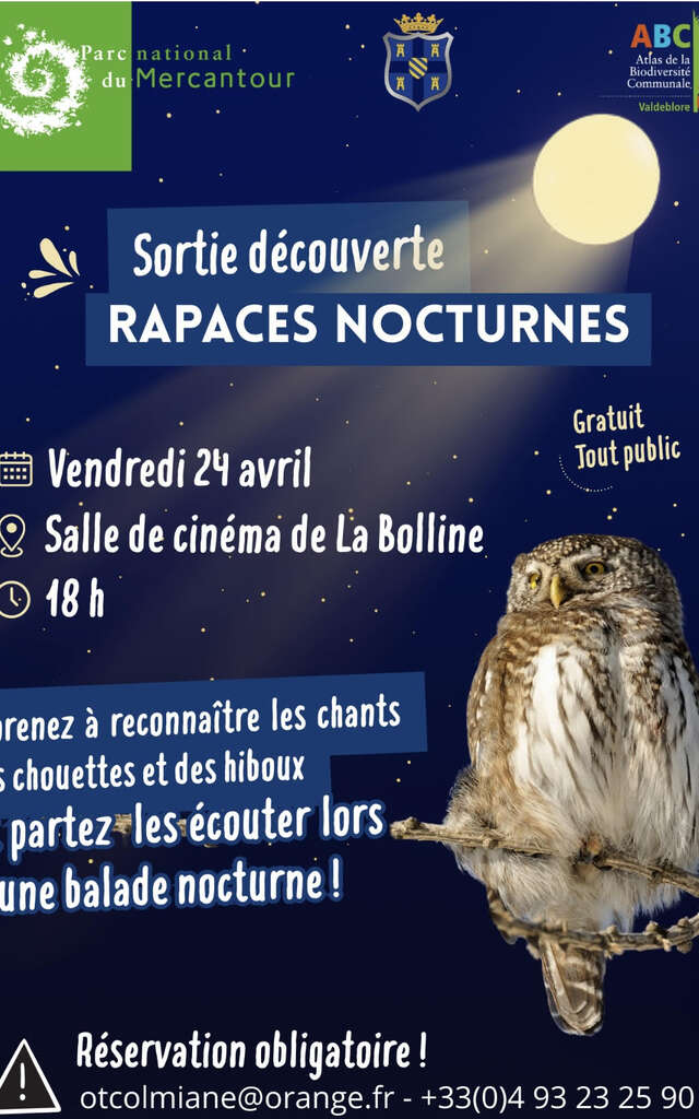 Nachtanimation "Nachtaktive Greifvögel" des Nationalparks Mercantour