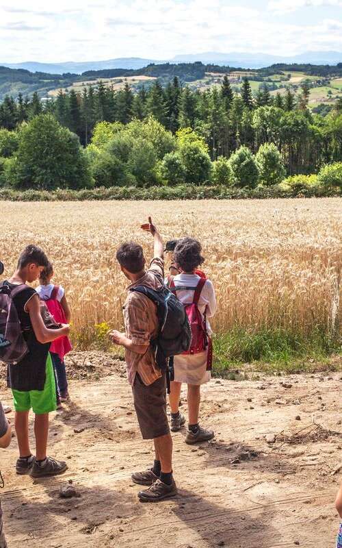 Façonnez votre bijou avec une Améthyste d'Auvergne