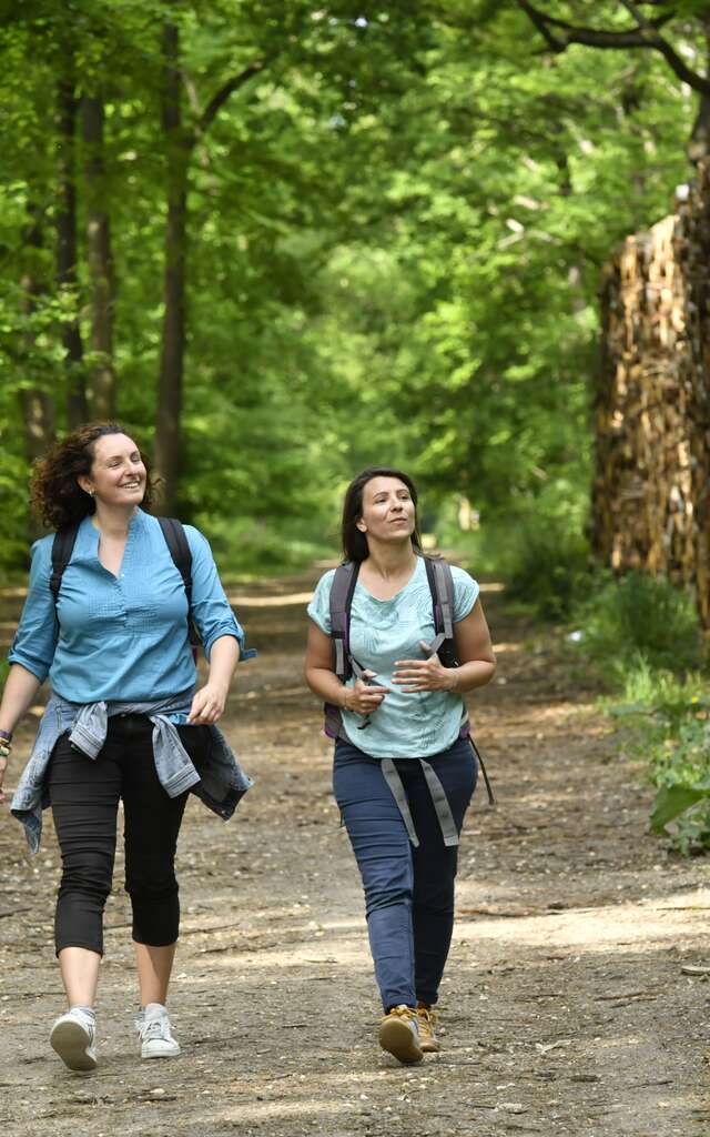 Les arbres remarquables en famille en forêt de Saint-Germain