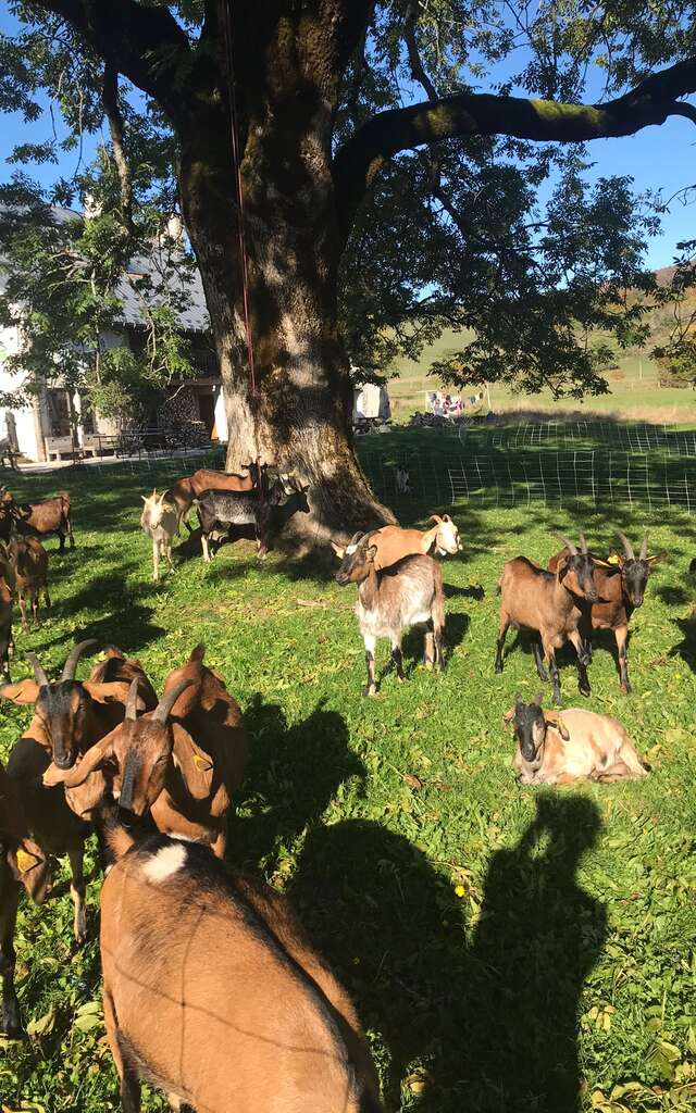 GAEC La Grange des Plans