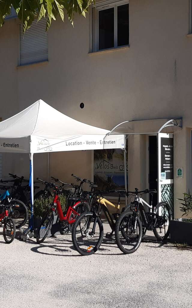 Vélos Buis