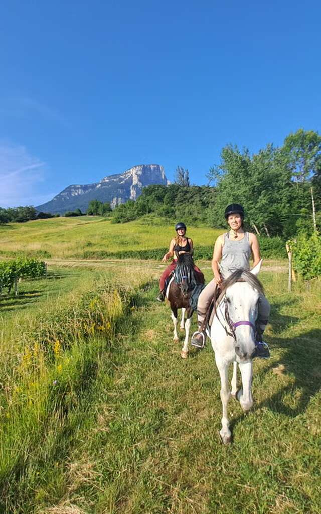 Initiation à la randonnée à cheval et découverte du vignoble savoyard en duo