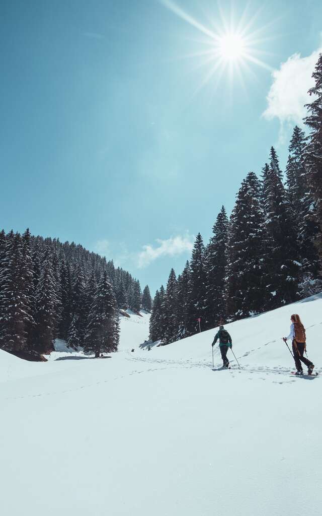 'Ü YeÜ Tsalé' Blue Trail / Rando Parc Morgins