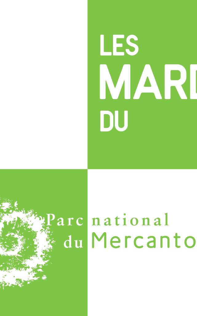 Les mardis du PNM