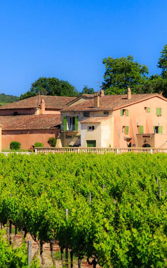 Vignoble Domaine de Bertaud-Belieu