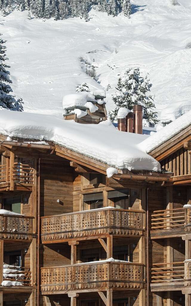 Cordée des Alpes