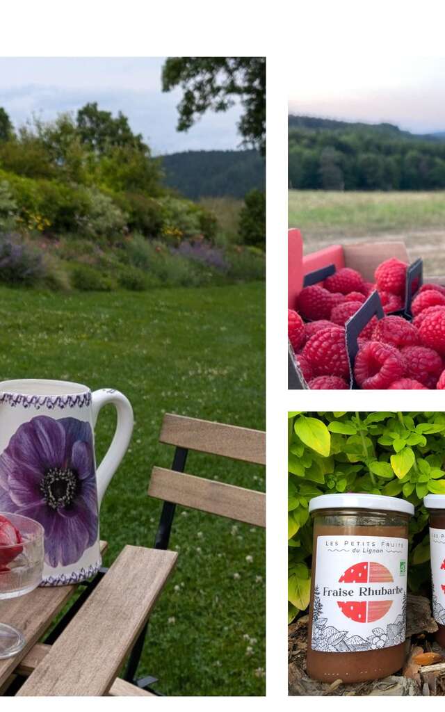 Les Petits Fruits du Lignon