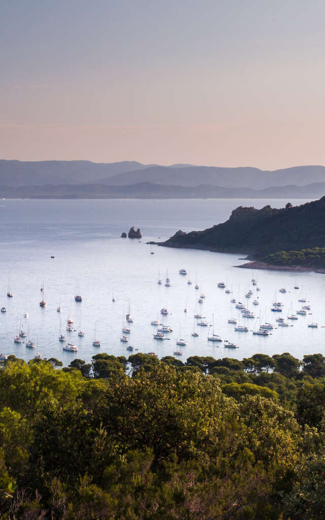 Ile de Porquerolles
