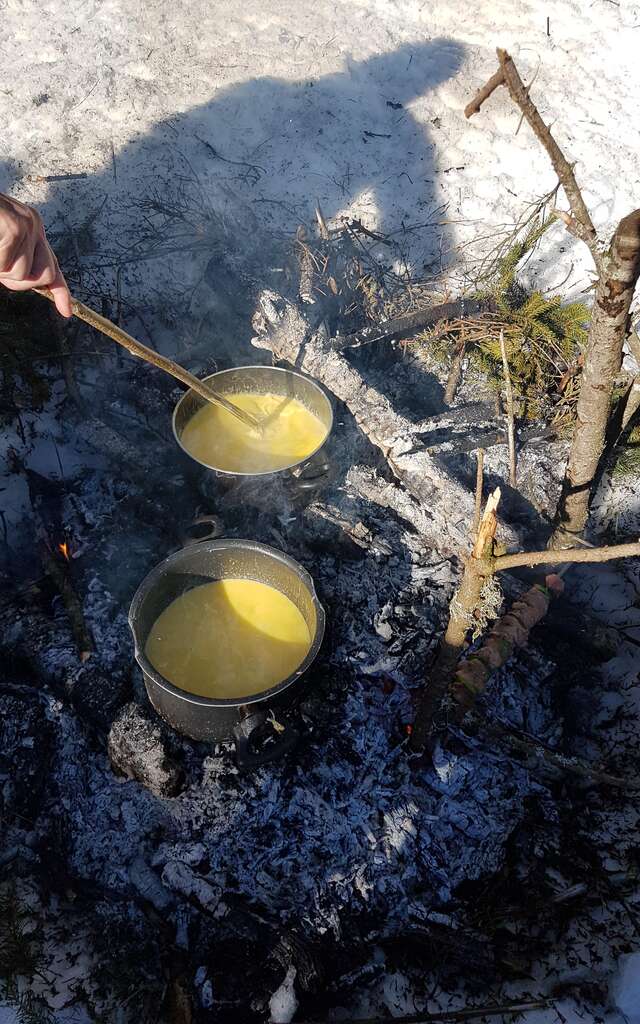 Randonnée raquettes sur le Plateau de retord avec Sylvain Poncet