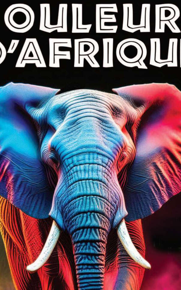 Concert Nocturne Africaine