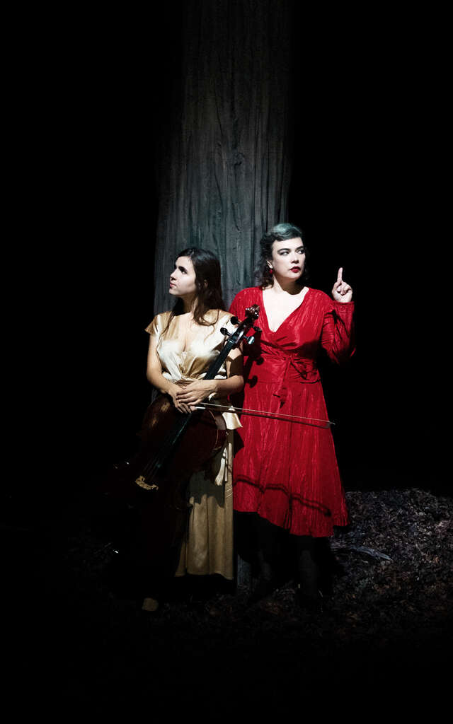 Birds On A Wire (folk, musiques du monde) - ÀLAFOLIE !