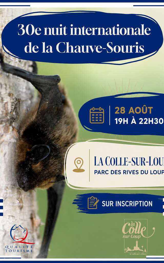 Nuit internationale de la chauve-souris