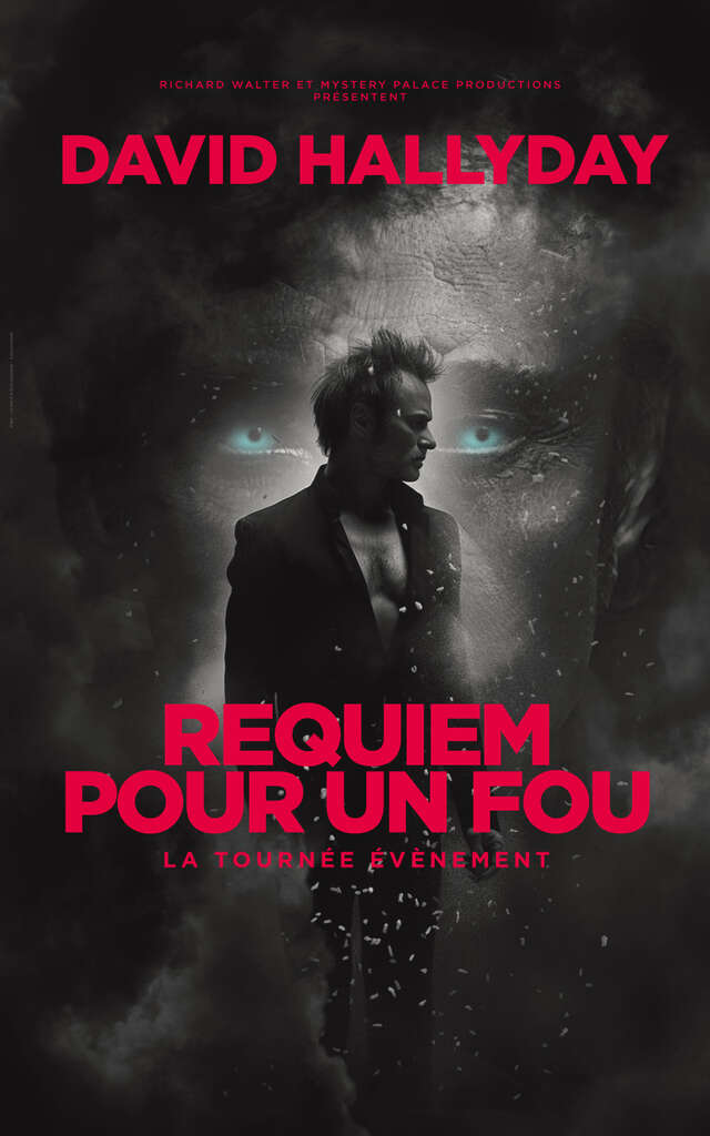 REQUIEM FÜR EINEN VERRÜCKTEN DIE TOURNÉE CENT POUR CENT HALLYDAY